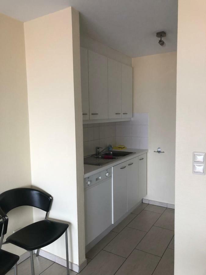 Residentie Albert-1, App.202, Zeelaan 214 Де Панбархат Экстерьер фото